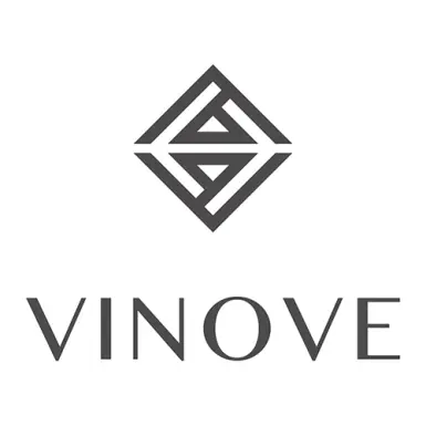Логотип Vinove