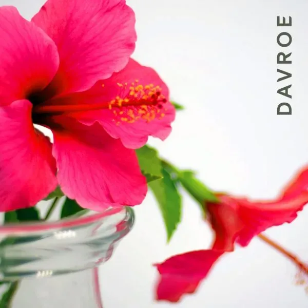 Davroe Восстанавливающий кондиционер Repair Senses Revitalizing Conditioner 100 мл - фото 2